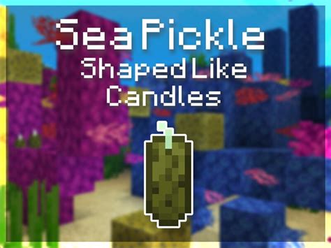 Candle-Shaped Sea Pickles [Remastered] (Java) 1.20.2/1.20.1/1.20/1.19.2/1.19.1/1.19/1.18/1.17.1 ...