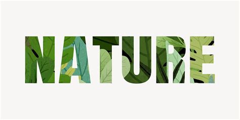 Nature word typography, green leaves | Free Photo - rawpixel