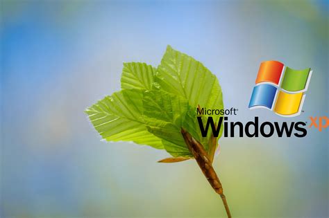 Logo Operating System Windows Logo Microsoft Windows - vrogue.co