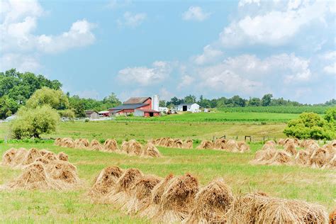 Bailing Hay Photograph by John Radosevich