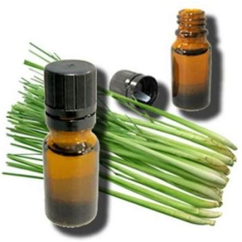 Lemongrass Essential Oil - 1 Fluid Oz | First Coast Tea Co.