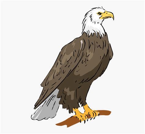 Bald Eagle Free Clip Art Pictures - Eagle Clipart , Free Transparent Clipart - ClipartKey