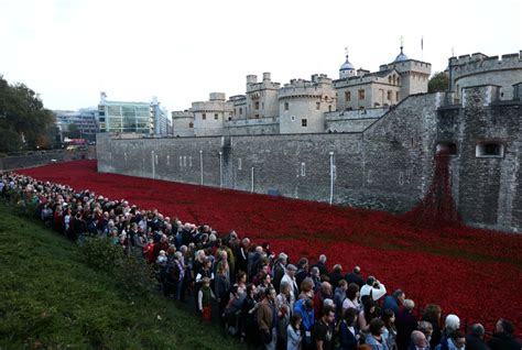 Final Tower of London poppy ‘planted’ on Armistice Day | CNN