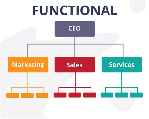 Sales And Marketing Department Structure