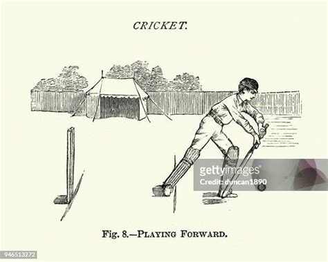 719 Cricket Bat History Stock Photos, High-Res Pictures, and Images ...