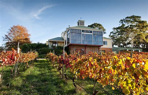 The 5 Best Winter Winery Getaways Within an Hour of Adelaide | All The ...