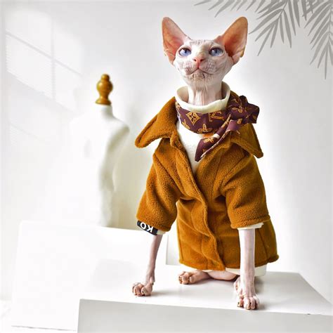 Gucci Cat Clothes | Luxury Gucci Coat for Sphynx Hairless Cat