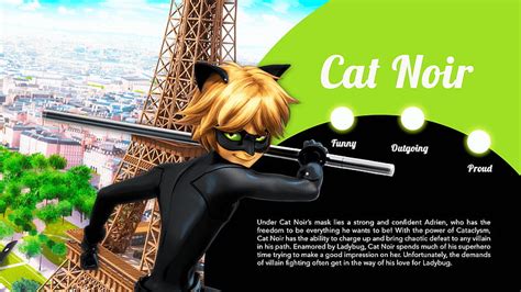 Cat Noir, Cartoon Character, Miraculous Ladybug and Cat Noir, Cartoon ...