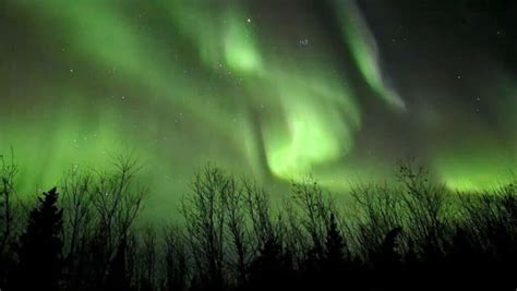 11 Exceptional Alaska Northern Lights Tours for 2025