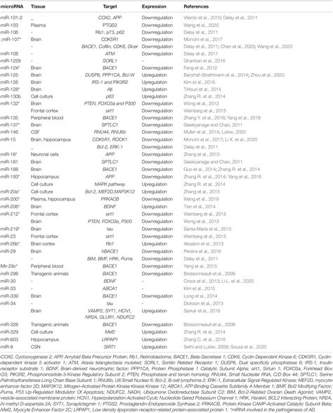 Frontiers | In silico Analysis of Polymorphisms in microRNAs Deregulated in Alzheimer Disease