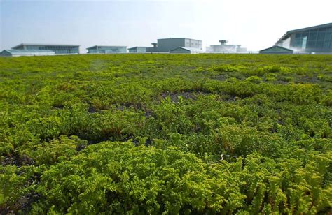 Ford Motor Company's River Rouge Truck Plant - Greenroofs.com