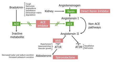 Combined Angiotensin Receptor Neprilysin Inhibitors A Review Of The | My XXX Hot Girl