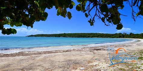 The Amazing Beaches of Vieques… One of the Islands of Puerto Rico | Vieques