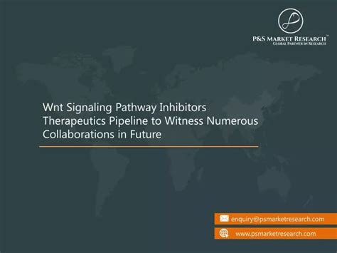 PPT - Wnt Signaling Pathway Inhibitors Therapeutics - Pipeline Analysis ...