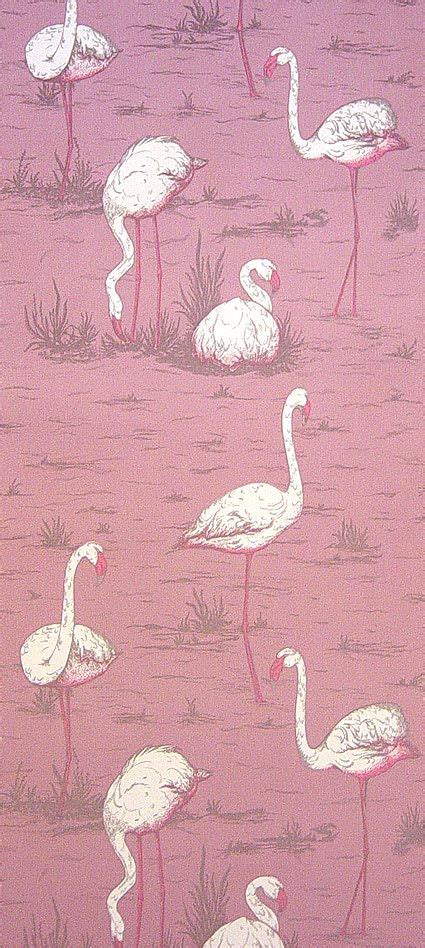 Pink Flamingo Wallpaper - WallpaperSafari