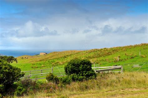 Great Ocean Road - Scenic Drive View Stock Photo - Image of australia ...