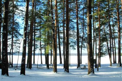 Seasons in Lithuania: Weather and Climate