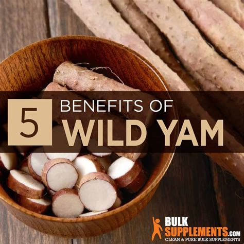 Wild Yam Root Extract: Benefits, Side Effects & Dosage