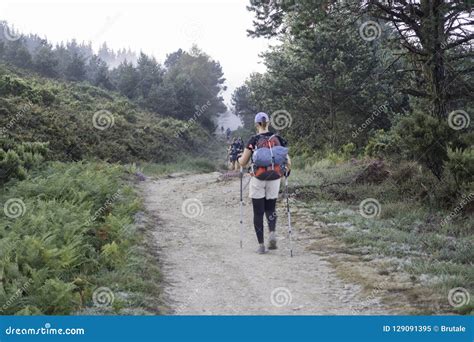 Pilgrims Doing the Camino De Santiago Editorial Image - Image of road, travel: 129091395