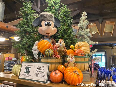 PHOTOS: More Fall Decorations Have FINALLY Started to Appear in Disney ...