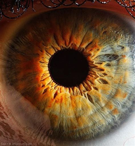 a beautiful close up of an iris by physics teacher Suren Manvelyan | Macro photography eyes, Eye ...