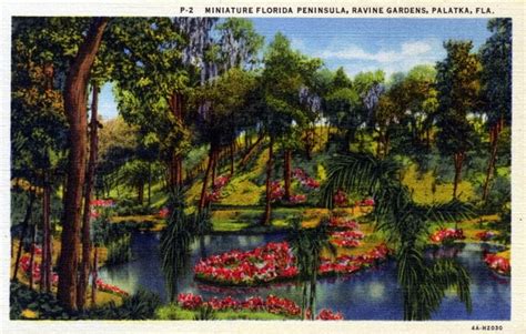 Azaleas blooming at Ravine Gardens State Park in Palatka