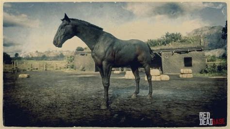 Seal Brown Dutch Warmblood | RDR2 & Online Horse Stats & Locations