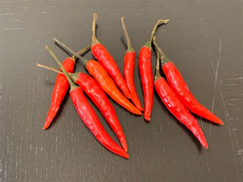 40 Thai Chili Seeds please Read Description - Etsy