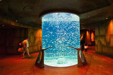 Guide to Atlantis The Palm, Dubai