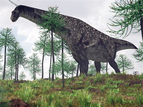 Titanosaurs: 8 of the World's Biggest Dinosaurs | Britannica.com