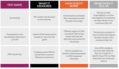 Diagnostic Testing for Multiple Myeloma | Blood, Urine, & Bone Tests