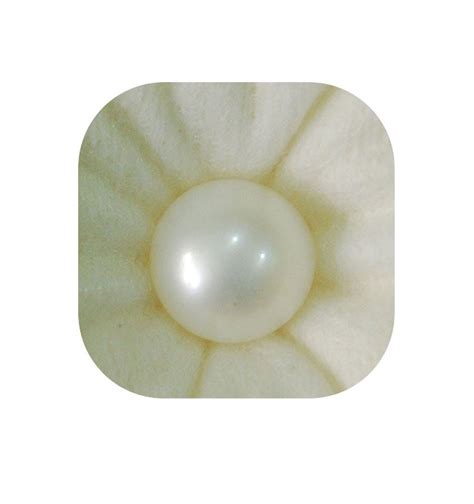 Natural Pearl Gemstone 5.4ct - Pearl Stone - Medium