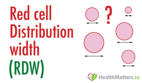 RDW-CV and RDW-SD: “Red Cell Distribution Width” FULLY explained ...