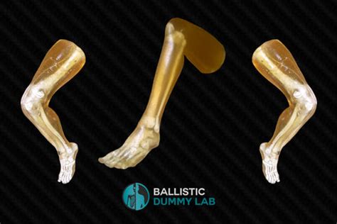 All Products – Ballistic Dummy Lab