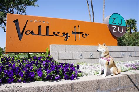 Tokyo: My Shiba Inu Life: Hotel Valley Ho, Scottsdale, Arizona