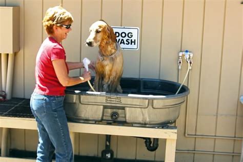 32 Best DIY Dog Washing Ideas That You Will Love – DIY to Make