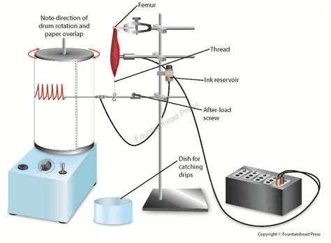 Chemistry Illustrations