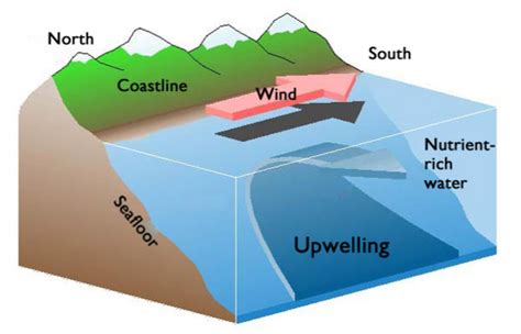 deep ocean currents (lesson 0123) - TQA explorer