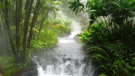 Rainforest Waterfall Wallpapers - Top Free Rainforest Waterfall ...