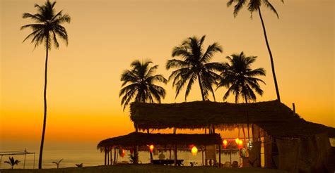 Maharashtra permits Goa-style beach shacks to woo tourists | Travel News | Manorama English