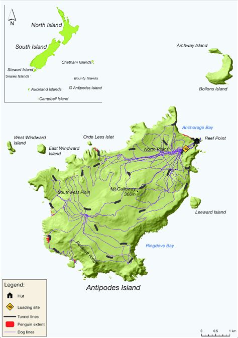 Map of Antipodes Islands group location; and mouse monitoring activity... | Download Scientific ...