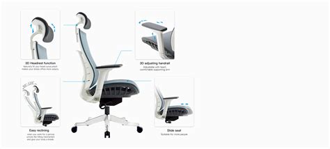 Raccoon Ergonomic Staff Chair | M&W