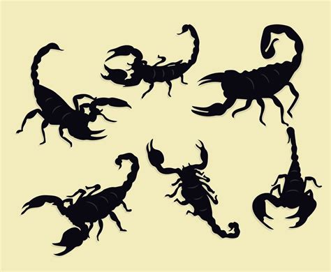 Scorpion Silhouette Vector at Vectorified.com | Collection of Scorpion Silhouette Vector free ...