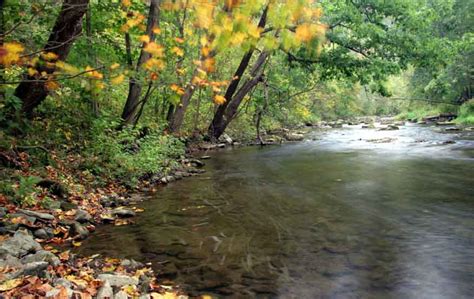 /Explore | Spring Creek Park