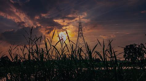 sunset in grass | Life is beautiful, Picture, Sunset