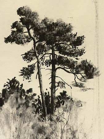 Drawing trees in charcoal, free drawing lesson