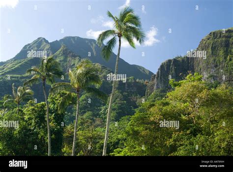 Koolau Mountains, Oahu, Hawaii Stock Photo - Alamy