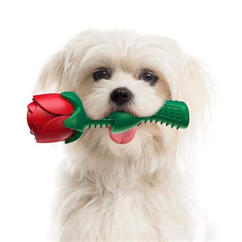 Dog Chew Toys