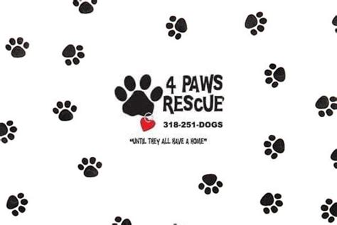 4 PAWS RESCUE VOLUNTEER OPPORTUNITIES | Lincoln Parish Journal