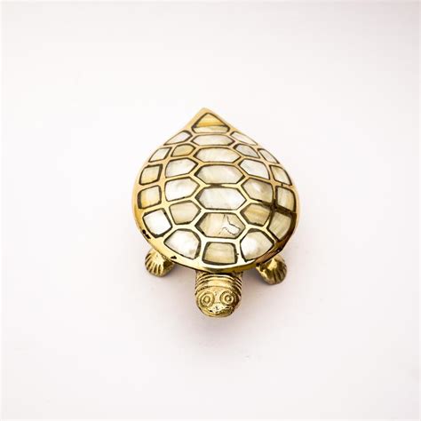 Feng Shui Turtle Significance and Placement for Greater Benefits ...